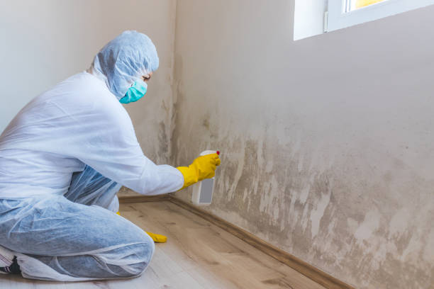 Licensed Mold Remediation service in Huntingdon, PA - WQB Mold Removal